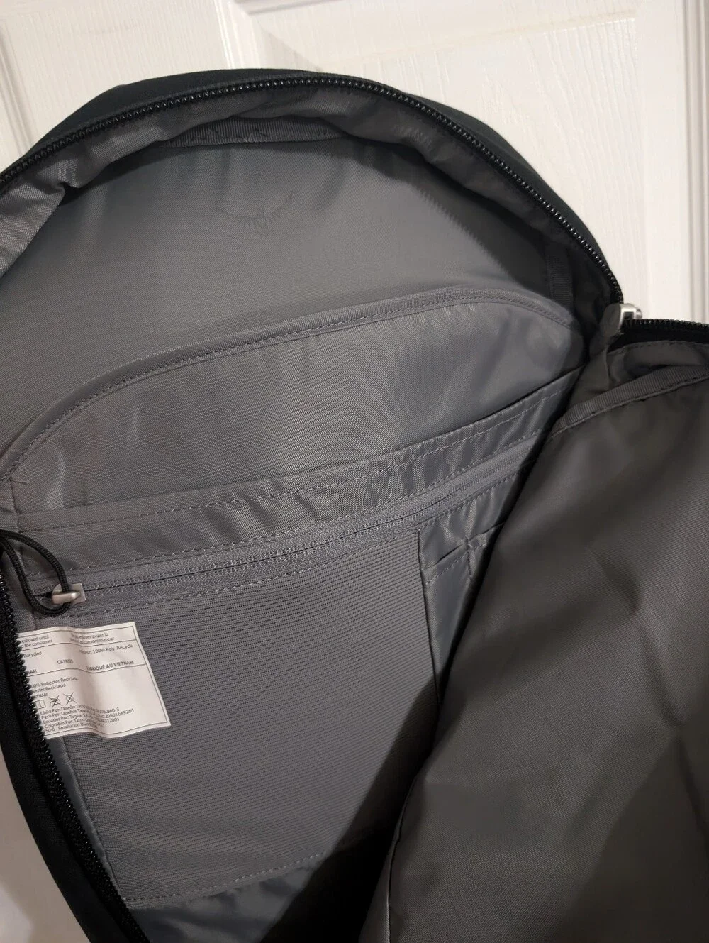 OSPREY this backpack